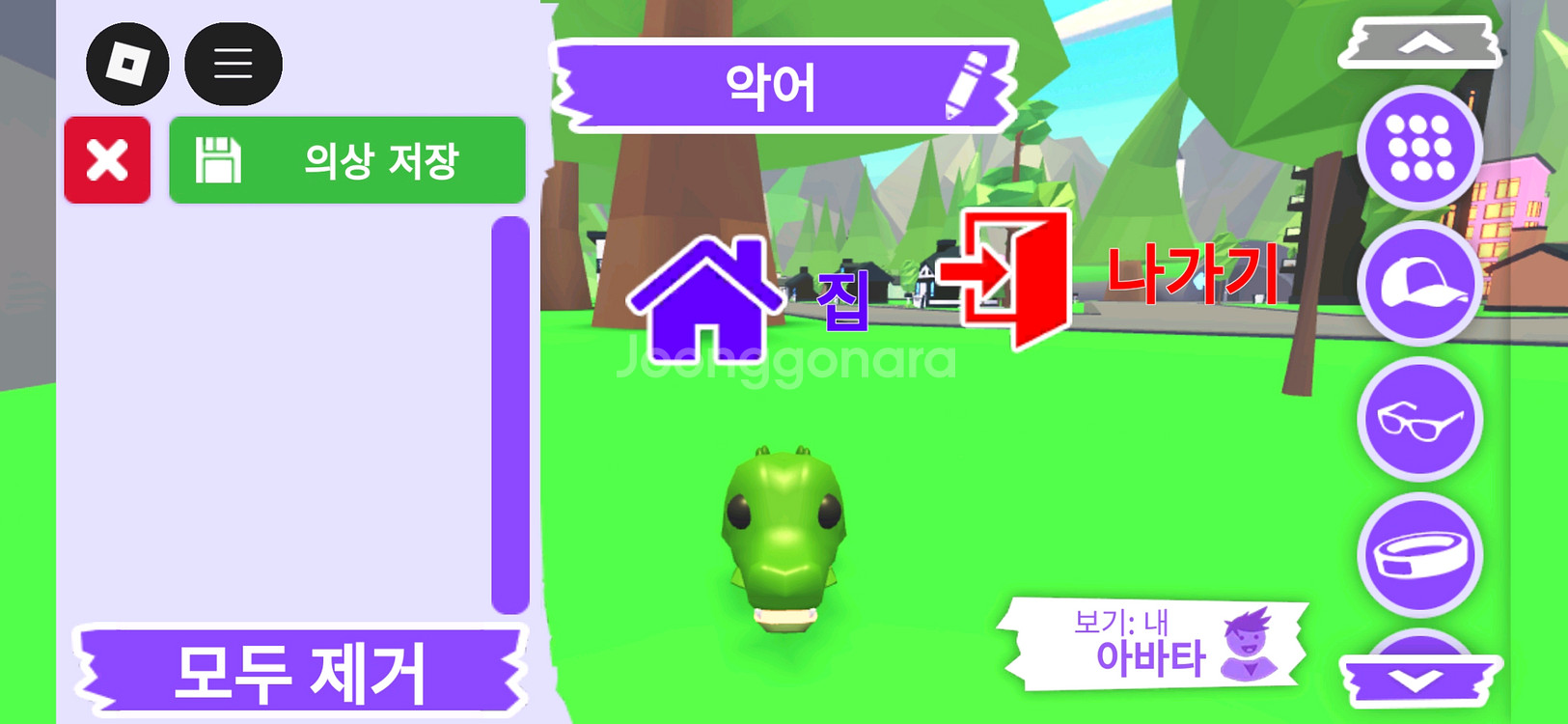 입양하세요 펫 악어 판매합니다--0