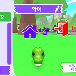 입양하세요 펫 악어 판매합니다