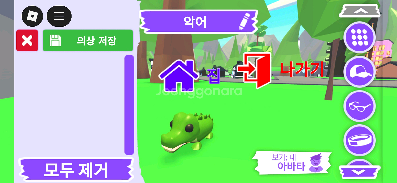 입양하세요 펫 악어 판매합니다--2