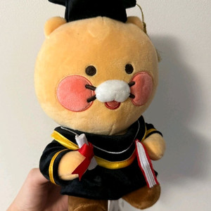 춘식이 학사모 인형 팝니다^^