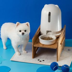 페키움 강아지 고양이 자동급식기