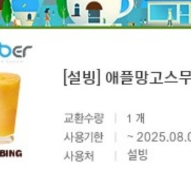 설빙 애플망고스무디 금액권가능