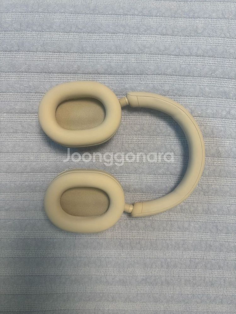 소니WH-1000 XM5 팝니다--1