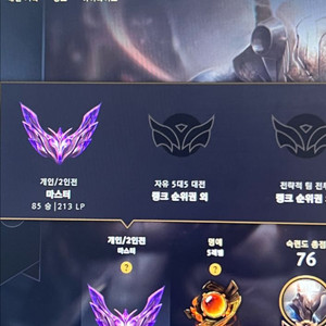 롤 마스터 0~300 어뷰 or 아이언~다이아 대리