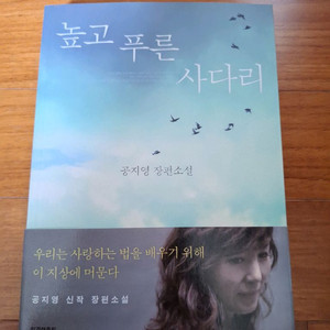 # 높고 푸른 사다리(공지영 장편소설)