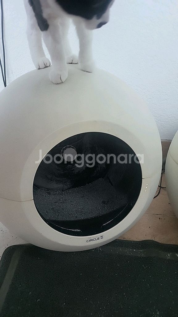 써클 제로 고양이 자동 화장실--2