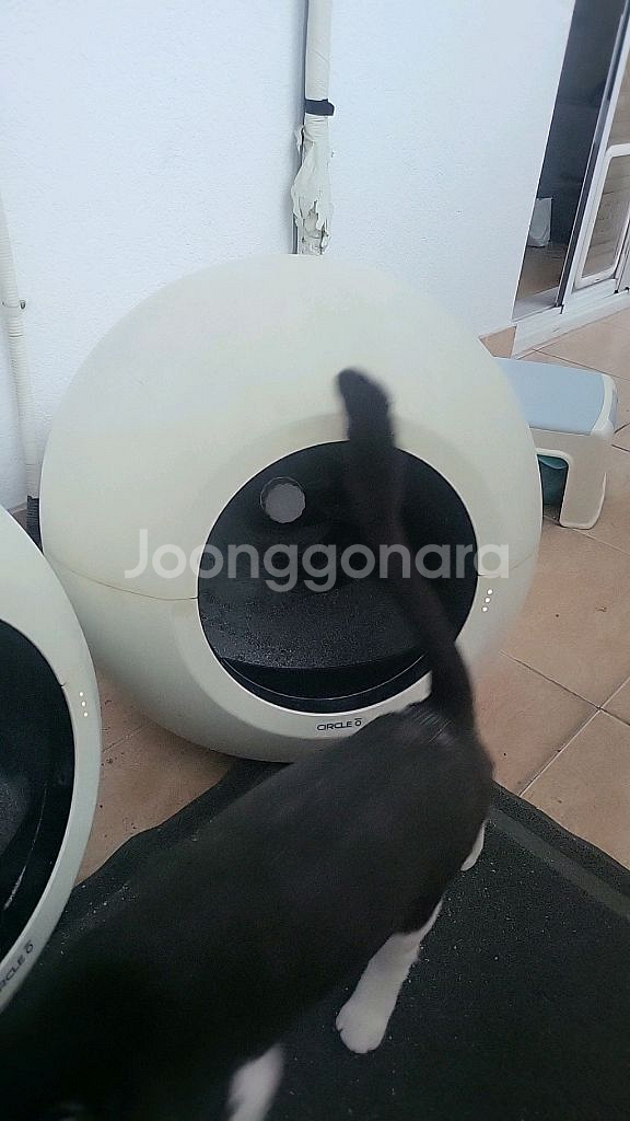 써클 제로 고양이 자동 화장실--1