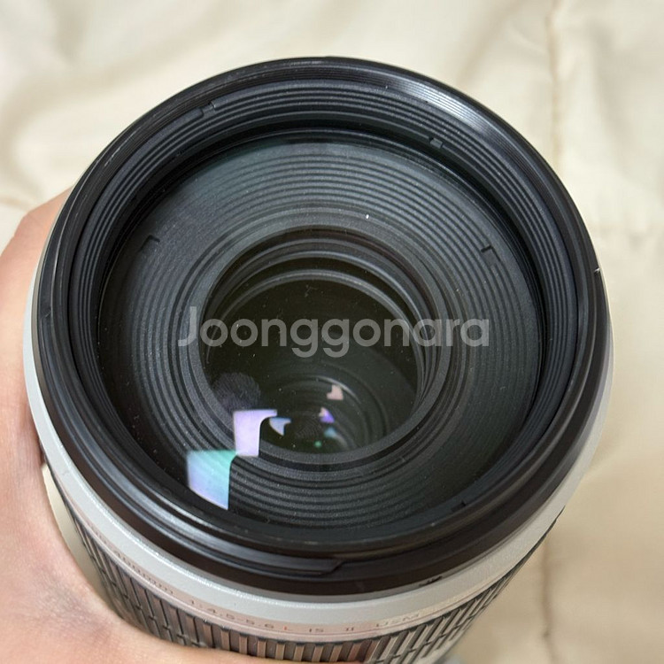 캐논 EF 100-400mm F4.5-5.6L IS I--4