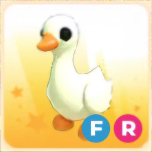 입양하세요 FR 거위