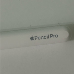 애플펜슬 프로