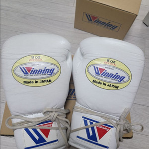위닝 글러브 8온스 레이스 타입 합니다