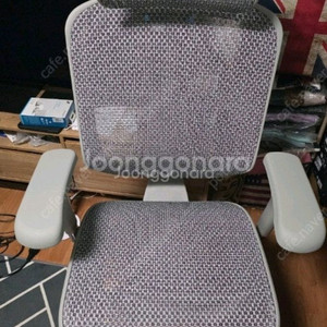 에르고휴먼 E2 센트럴 그레이 한국판