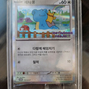미개봉 메타몽 프로모 카드 1장