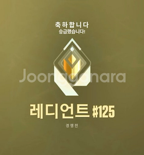 발로란트 저티어 개싼 대리--0