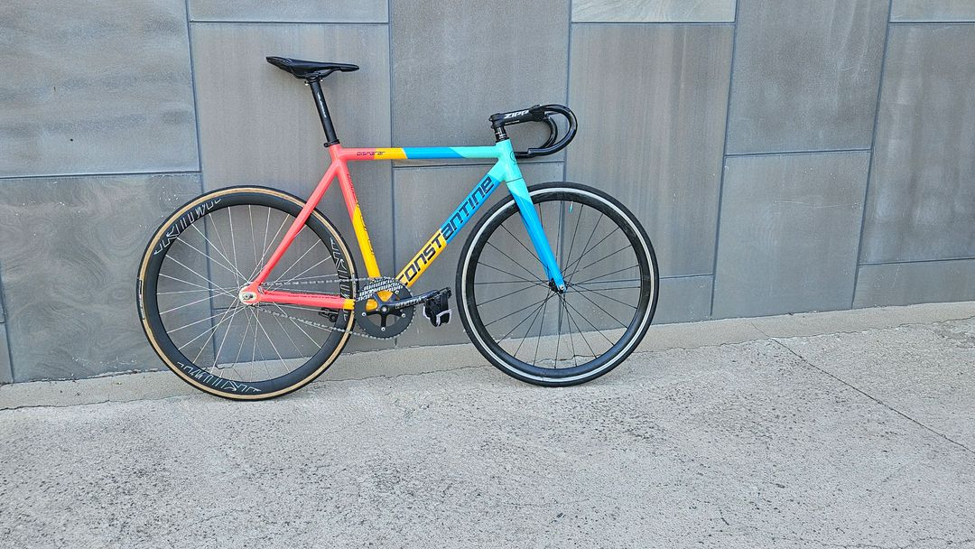 콘스탄틴 디스페랄 2024 트로피칼판매/대차 이미지