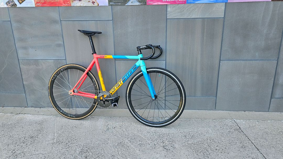 콘스탄틴 디스페랄 2024 트로피칼판매/대차 이미지