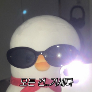 닌텐도 스위치 칩 구해요
