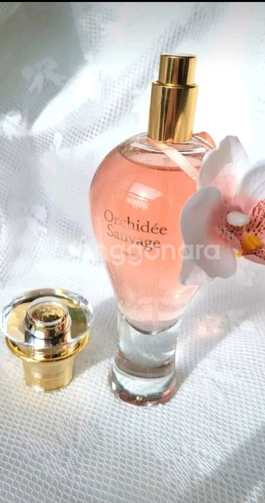 향수 100ml--4