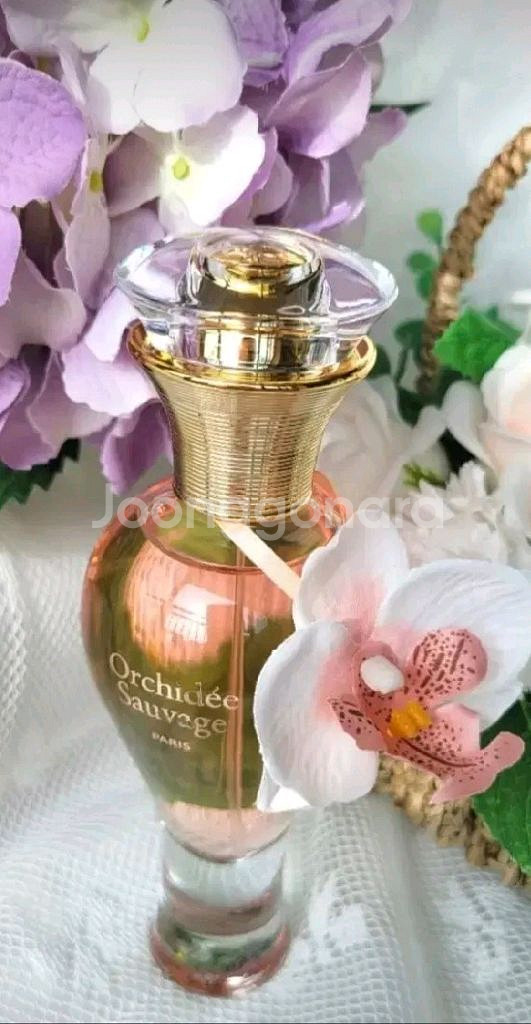 향수 100ml--2