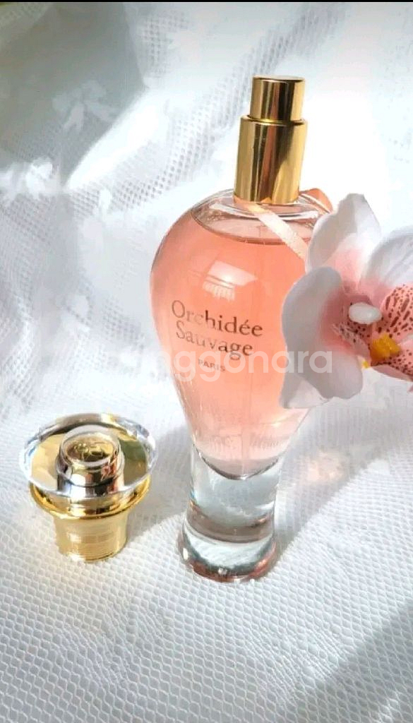 향수 100ml--8