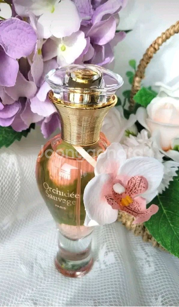 향수 100ml--9
