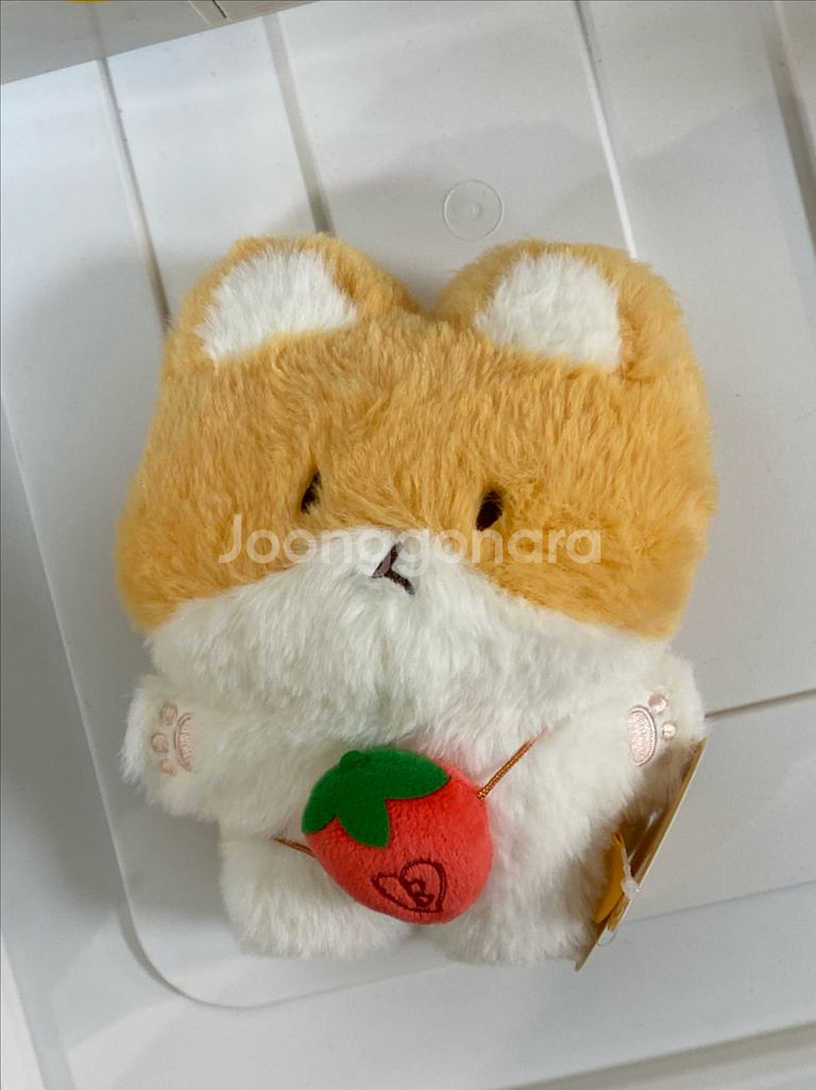 백현 터래기 인형 20cm 새상품--0