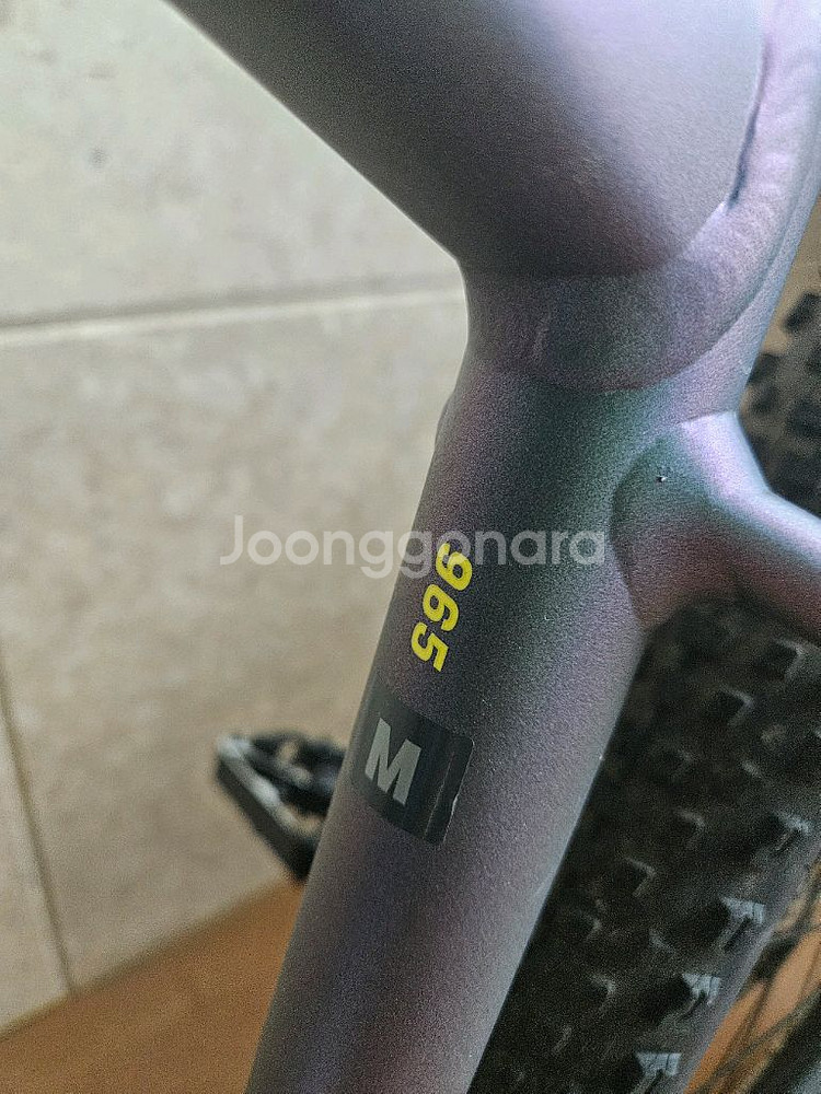 스캇 스케일965 mtb (타누스아머장착)--3