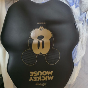 비츠기어x디즈니 햅틱쿠션