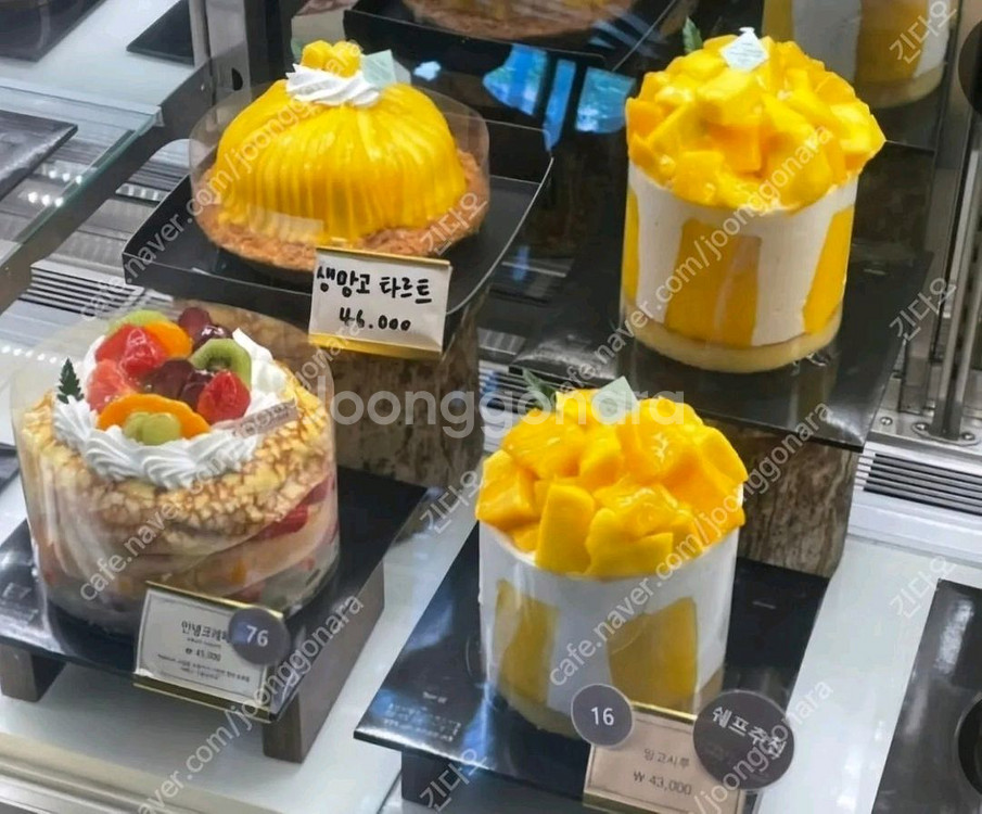 성심당 망고시루 망고롤 망고타르트 튀김소보로 대행--0