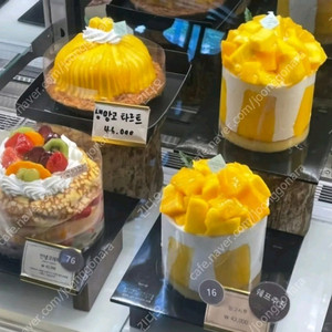 성심당 망고시루 망고롤 망고타르트 튀김소보로 대행