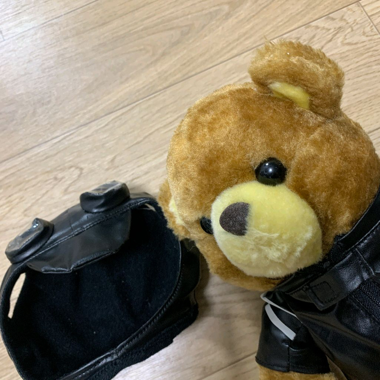 Triumph 트라이엄프 테디베어 이미지