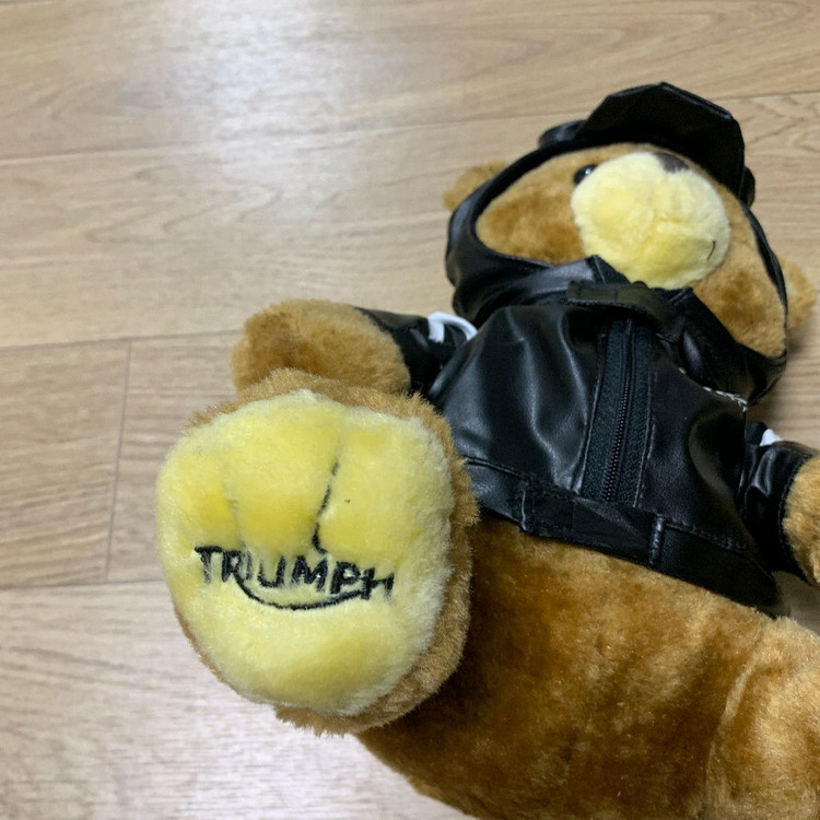 Triumph 트라이엄프 테디베어 이미지