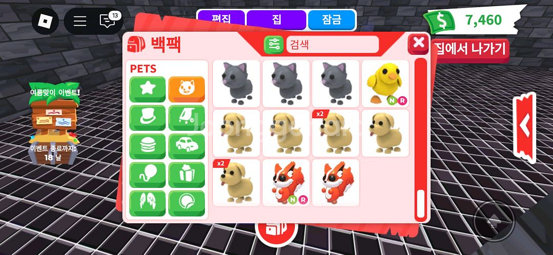 입양하세요 펫 팔아요--6