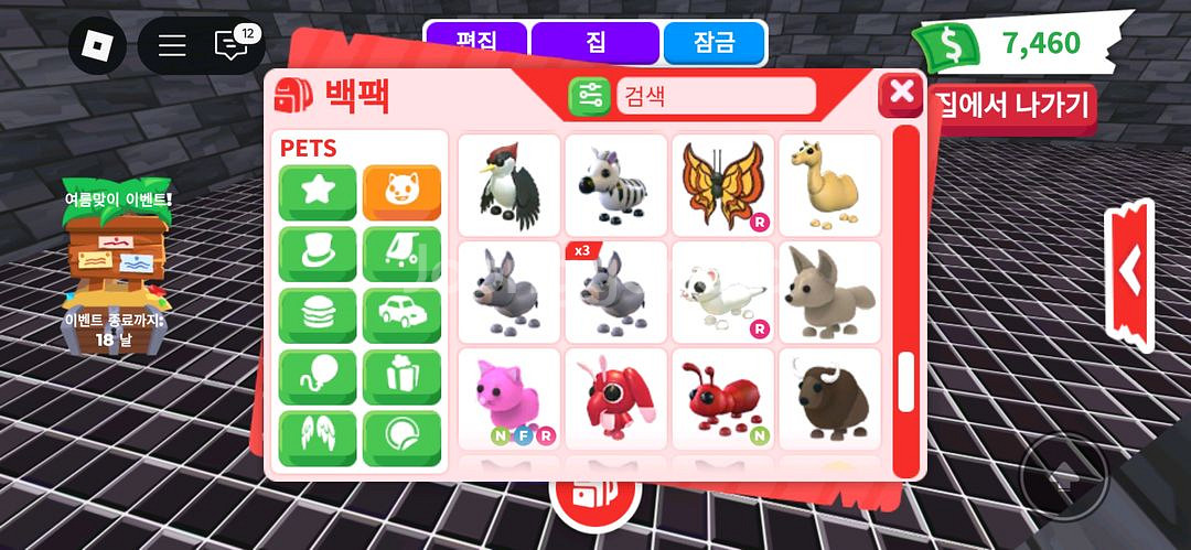 입양하세요 펫 팔아요--7