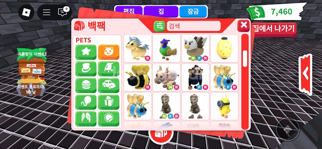입양하세요 펫 팔아요--8