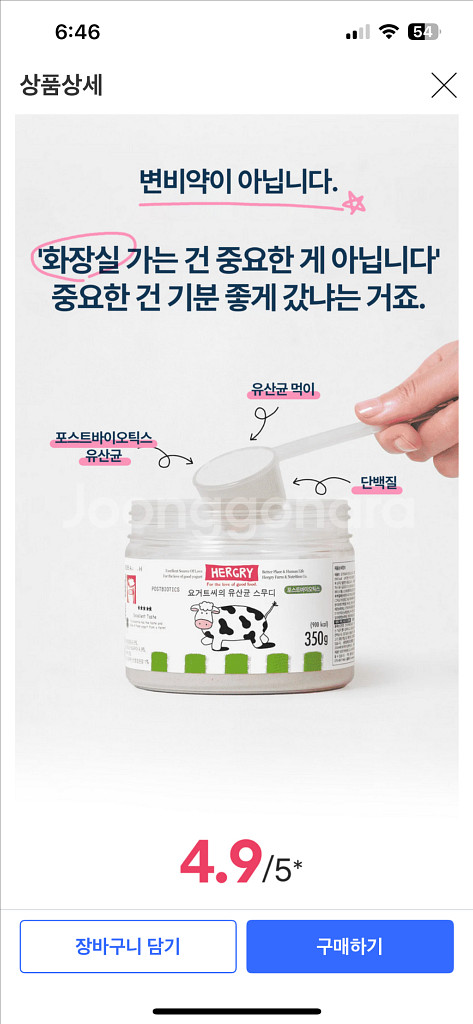 헐그리 요거트 유산균 스무디--2
