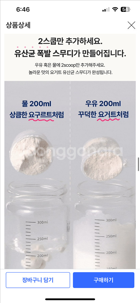 헐그리 요거트 유산균 스무디--3