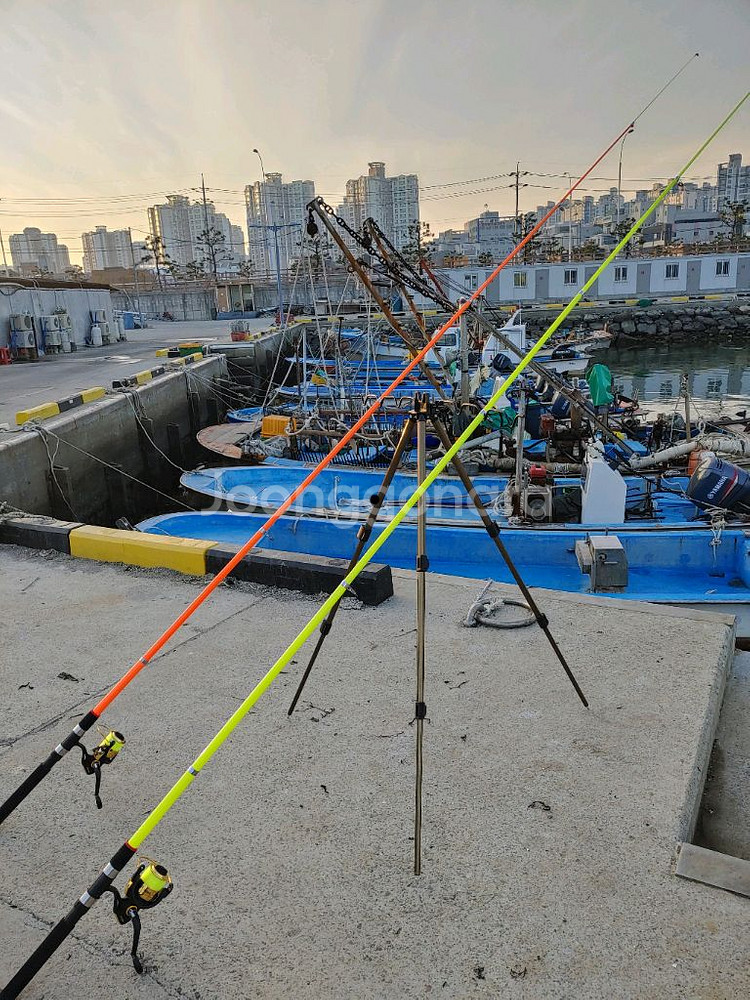카본 낚시대 2대--1