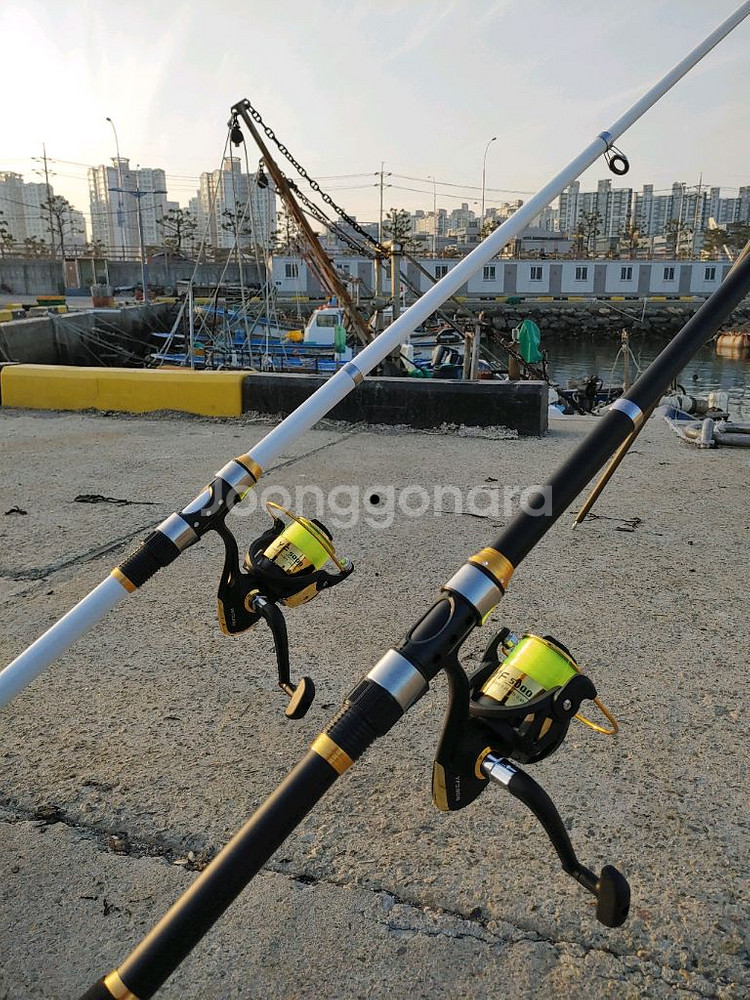 카본 낚시대 2대(릴포함)--0
