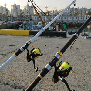 카본 낚시대 2대(릴포함)