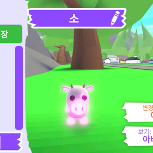 입양하세요 펫 네온 소 (네젖,젖소) 판매합니다.