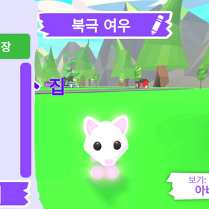 입양하세요 펫 네온 북극 여우 (네북여) 판매합니다