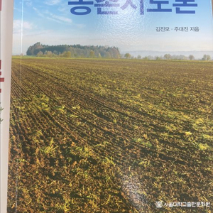 전략적 농촌지도론