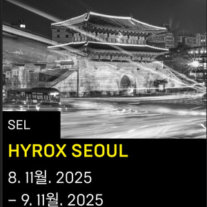 하이록스 서울 남자더블프로 양도 받습니다!