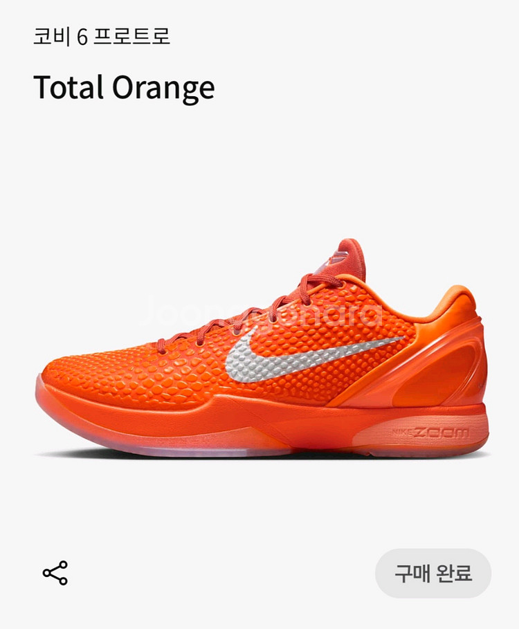 코비6 프로트로 토탈 오렌지 300--1