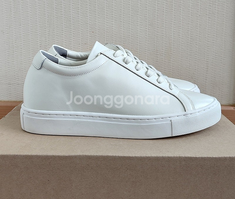 [새상품]식스핏255 1IN WHITE HI 소가죽운동--1