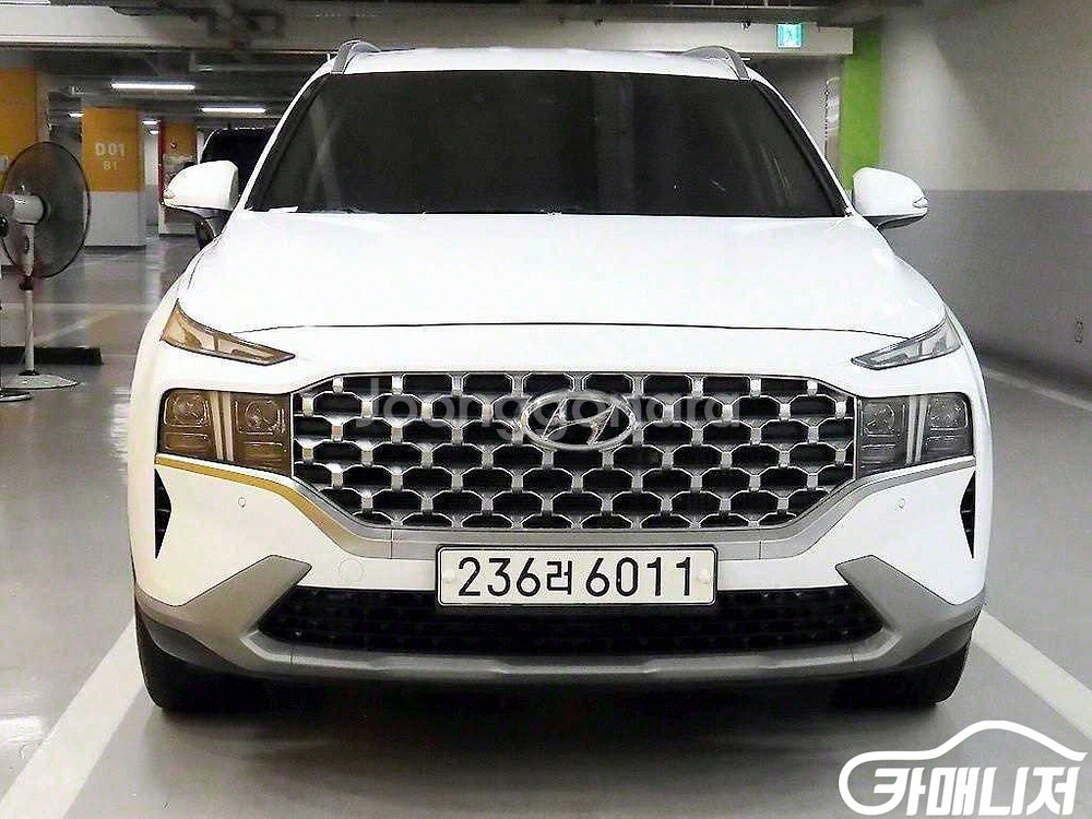 [현대]더 뉴 싼타페 디젤 2.2 2WD 프리미엄 (5--0