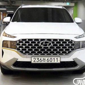[현대]더 뉴 싼타페 디젤 2.2 2WD 프리미엄 (5