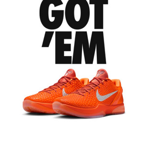 코비 6 프로토르 토탈오렌지 260