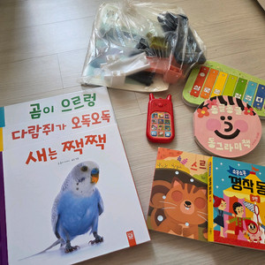 유아 장난감 책 사운드북 일괄
